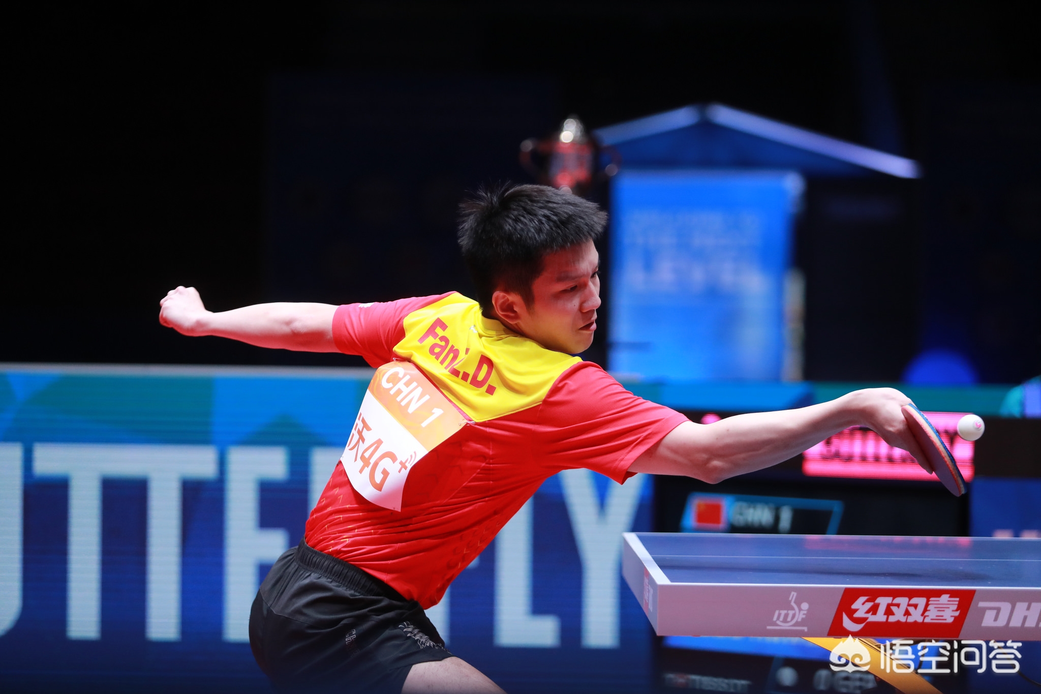 比赛伊始 比赛伊始