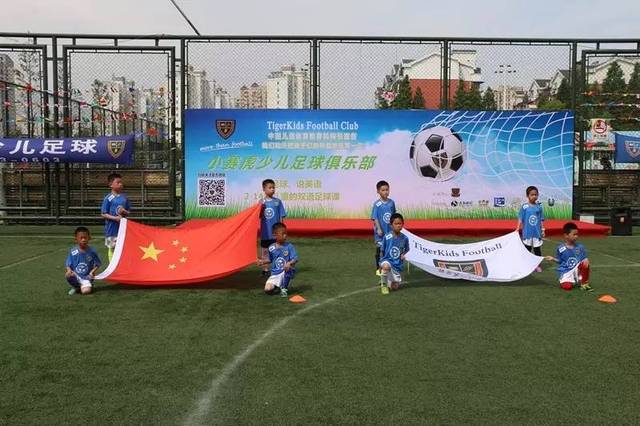 并未能有效 并未能有效