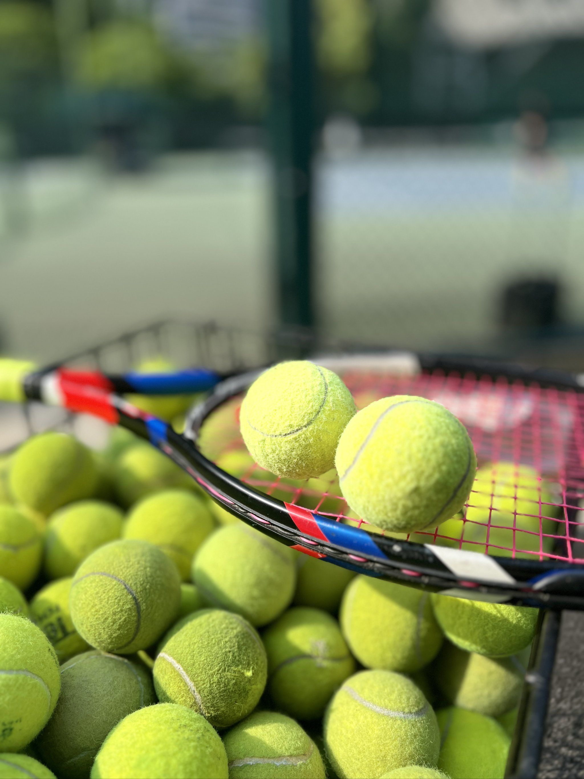 夺得奖牌 夺得奖牌